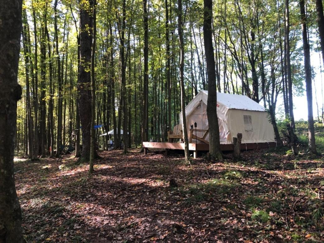 Tentrr - Hollow Tree Camp Waymart Exterior photo