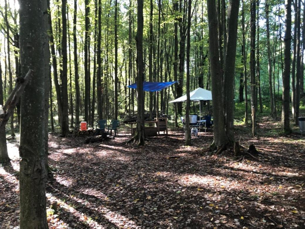 Tentrr - Hollow Tree Camp Waymart Exterior photo